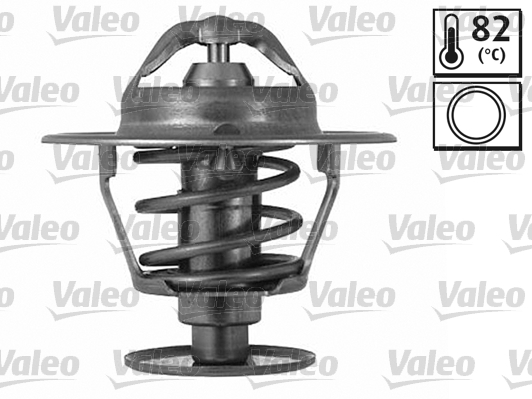 Termostat lichid racire