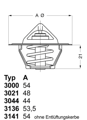 Termostat lichid racire