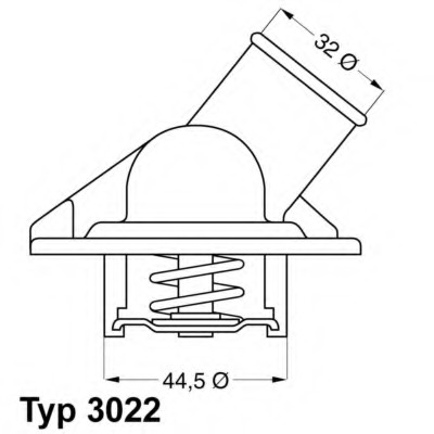 Termostat lichid racire