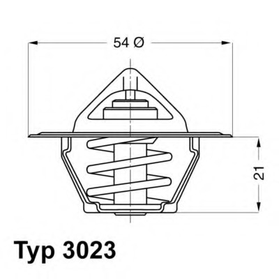 Termostat lichid racire