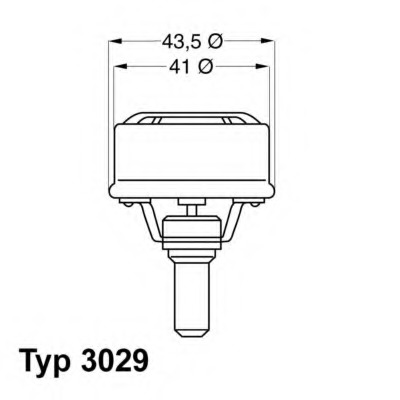 Termostat lichid racire