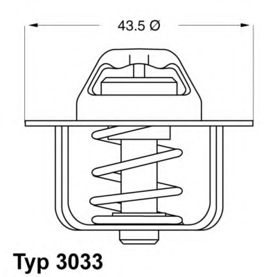 Termostat lichid racire