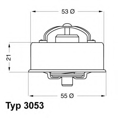 Termostat lichid racire