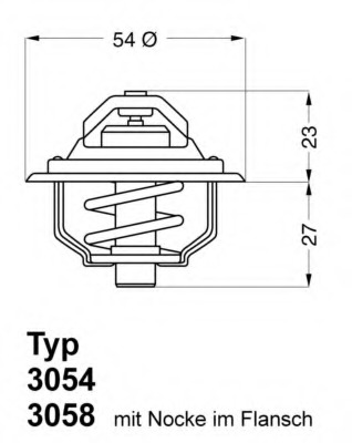 Termostat lichid racire