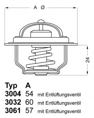 Termostat lichid racire