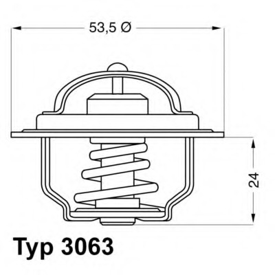 Termostat lichid racire