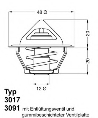 Termostat lichid racire