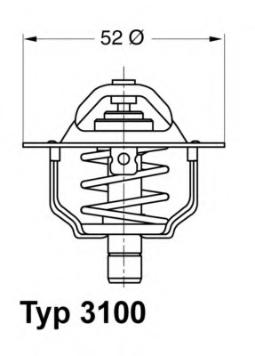 Termostat lichid racire