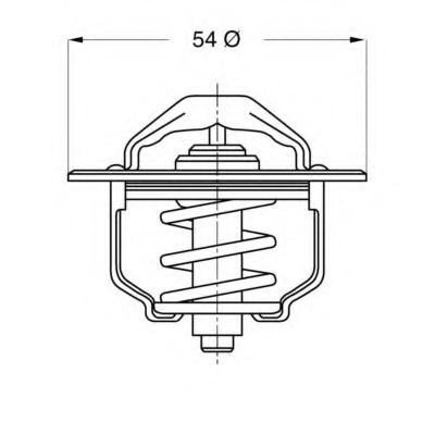 Termostat lichid racire