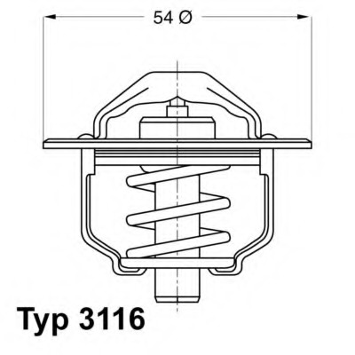 Termostat lichid racire