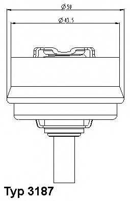 Termostat lichid racire