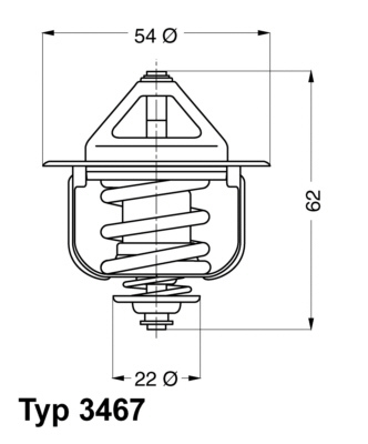 Termostat lichid racire