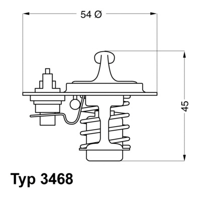 Termostat lichid racire