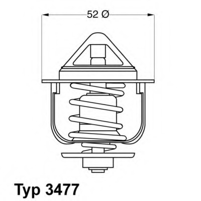 Termostat lichid racire