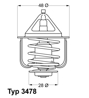 Termostat lichid racire