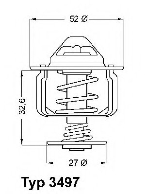 Termostat lichid racire