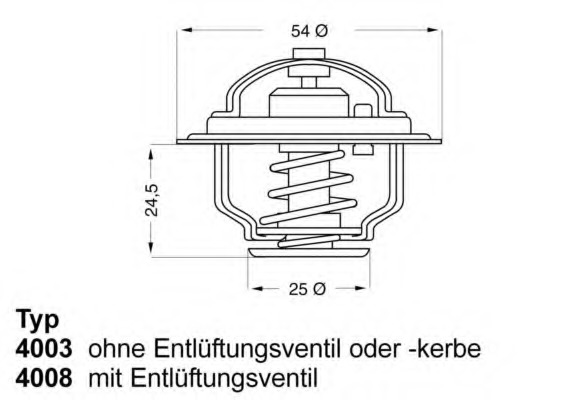 Termostat lichid racire