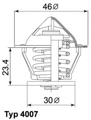 Termostat lichid racire