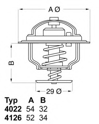 Termostat lichid racire