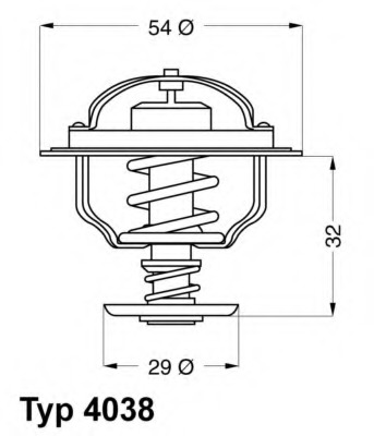 Termostat lichid racire