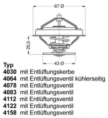 Termostat lichid racire