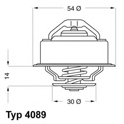 Termostat lichid racire