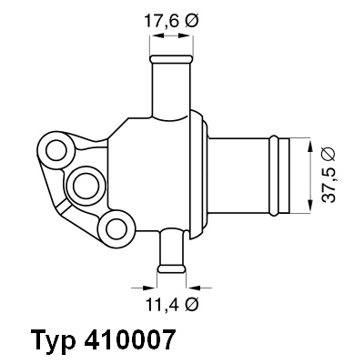 Termostat lichid racire