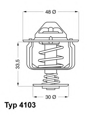 Termostat lichid racire