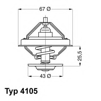 Termostat lichid racire