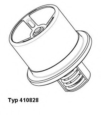 Termostat lichid racire