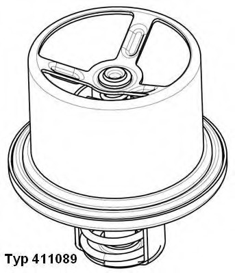 Termostat lichid racire