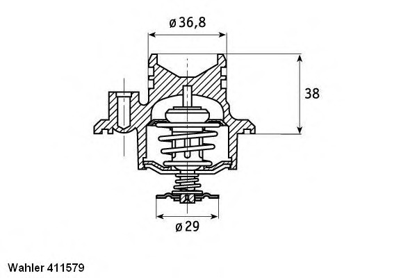 Termostat lichid racire