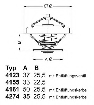 Termostat lichid racire