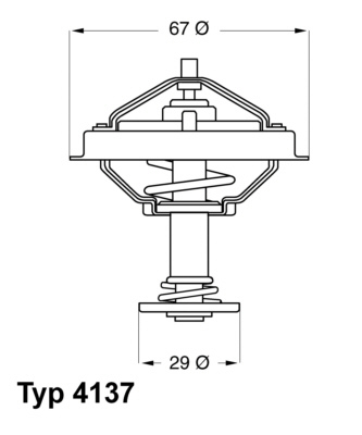 Termostat lichid racire