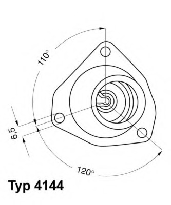 Termostat lichid racire