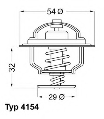 Termostat lichid racire