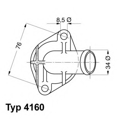 Termostat lichid racire