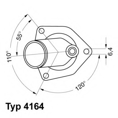 Termostat lichid racire