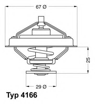 Termostat lichid racire