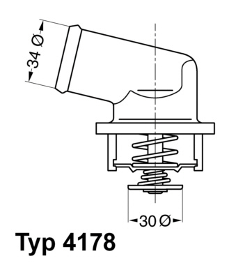 Termostat lichid racire