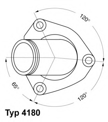 Termostat lichid racire