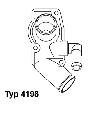 Termostat lichid racire