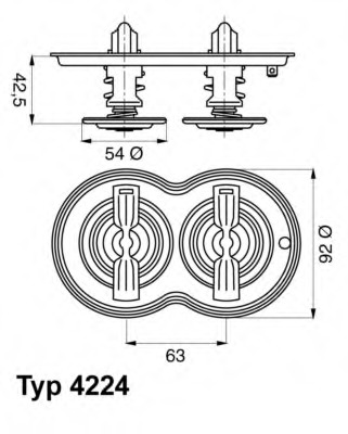 Termostat lichid racire