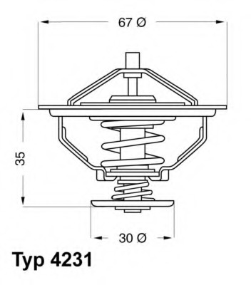 Termostat lichid racire