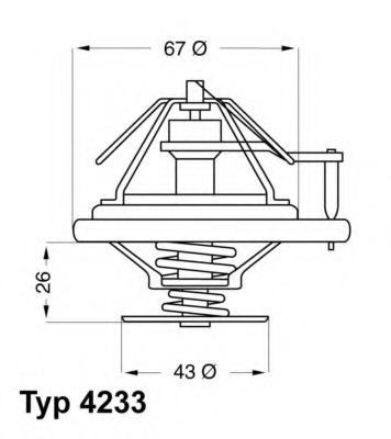 Termostat lichid racire