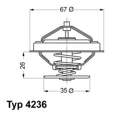 Termostat lichid racire