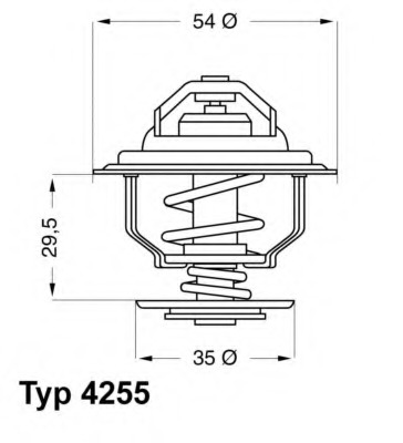 Termostat lichid racire