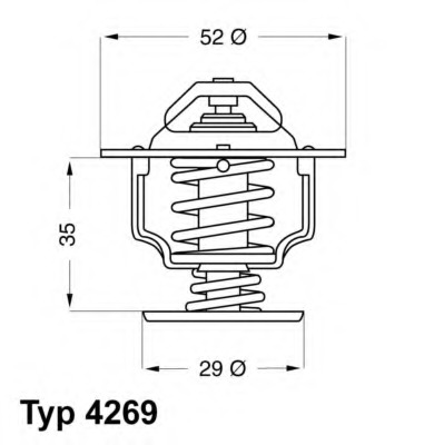 Termostat lichid racire