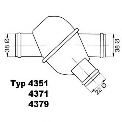 Termostat lichid racire