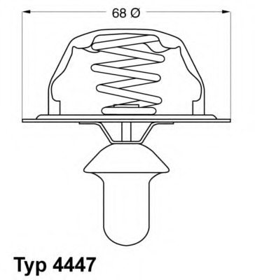 Termostat lichid racire